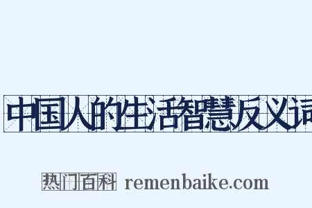 中国人的生活智慧反义词是什么意思的图片